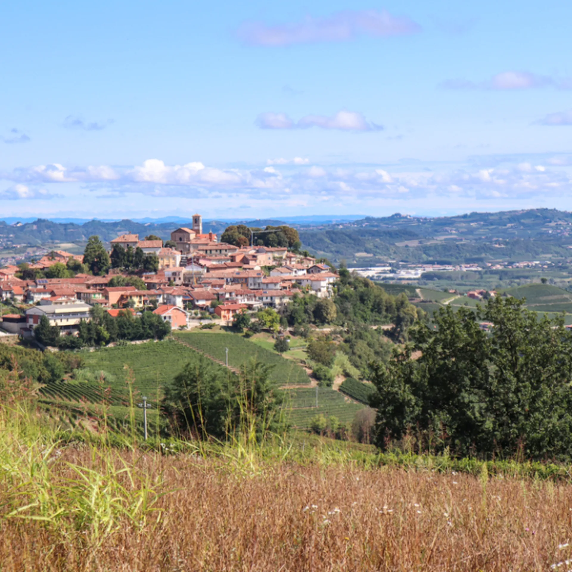 Panorama la Morra  im Piemont